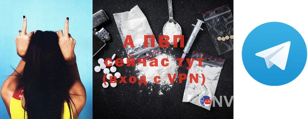 ГАЛЛЮЦИНОГЕННЫЕ ГРИБЫ Губаха